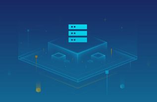 虛擬主機租用不會取代服務(wù)器托管