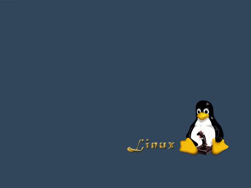 Linux通過if語句怎樣能判斷文件或目錄是否存在的